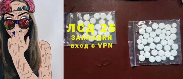 ПСИЛОЦИБИНОВЫЕ ГРИБЫ Ельня