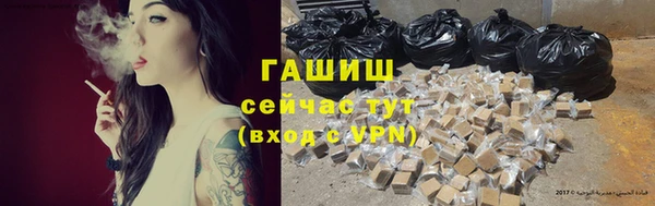 ПСИЛОЦИБИНОВЫЕ ГРИБЫ Ельня