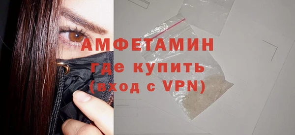 ПСИЛОЦИБИНОВЫЕ ГРИБЫ Ельня