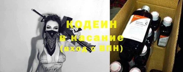 ПСИЛОЦИБИНОВЫЕ ГРИБЫ Ельня