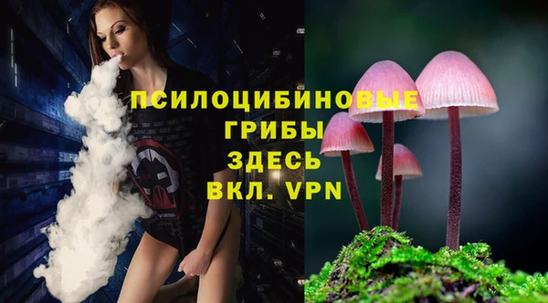 ПСИЛОЦИБИНОВЫЕ ГРИБЫ Ельня
