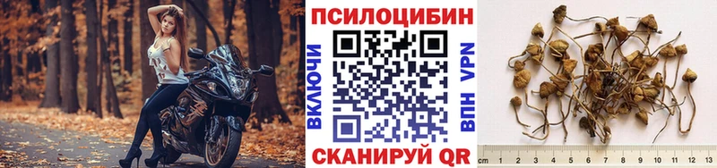 ссылка на мегу ссылка  Нальчик  Галлюциногенные грибы мицелий 