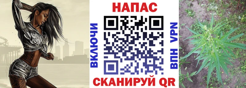Канабис гибрид Нальчик